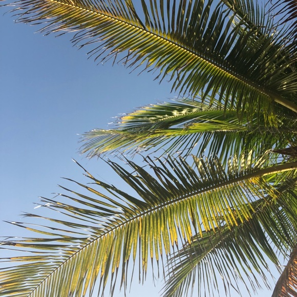 Meet your Posher, Lyly - Picture 1 of 1